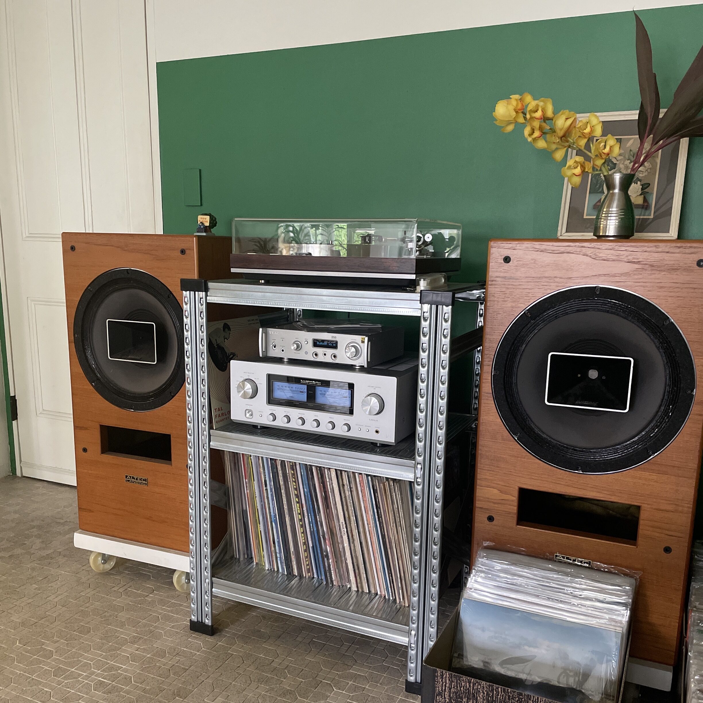 愛騒の店内の様子２　スピーカーとグリーンの壁